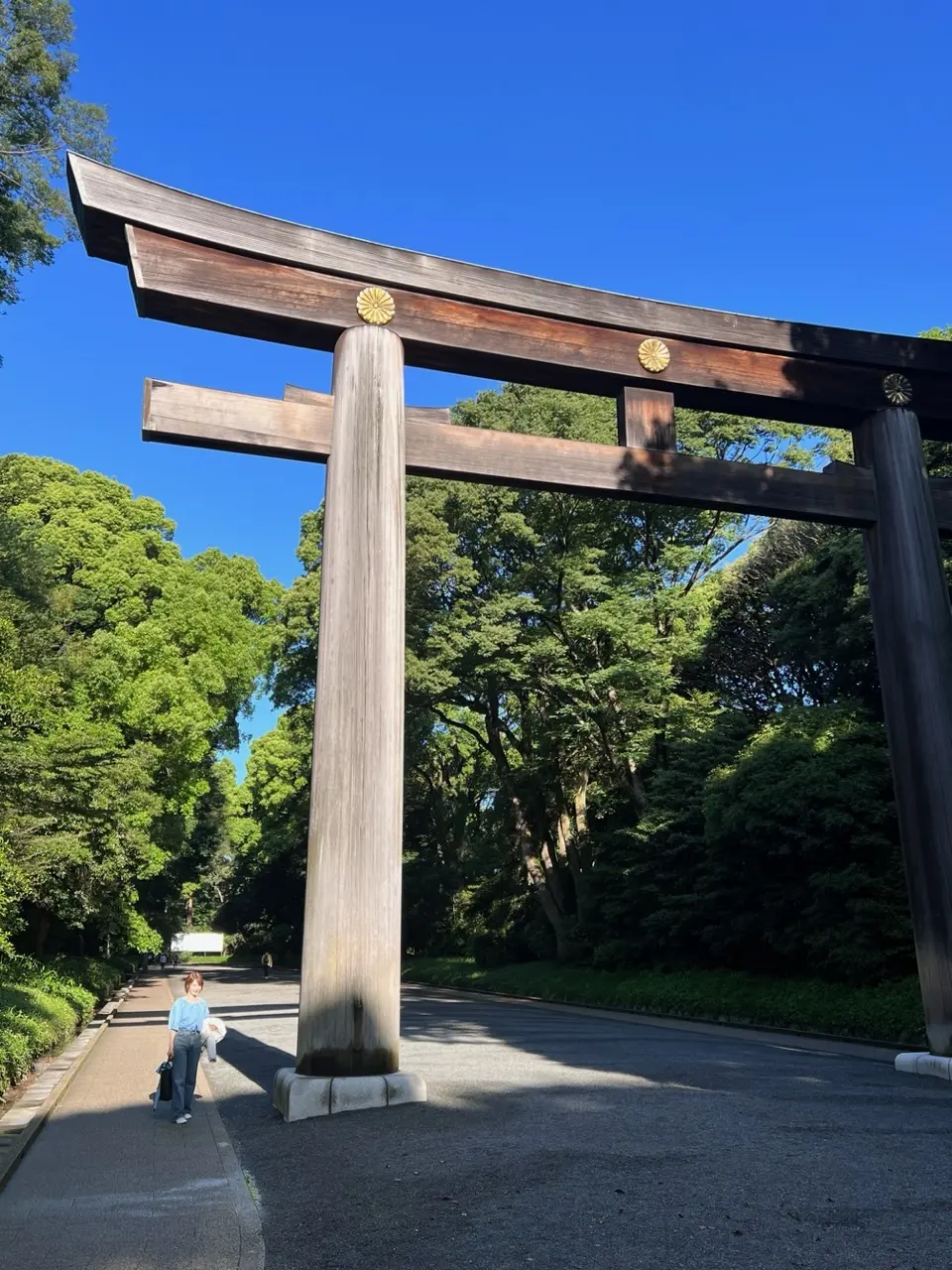 朝活！明治神宮への画像_6