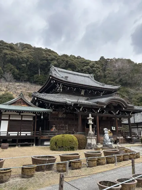 春の名残と記憶のなかの風景 ― 三室戸寺の画像_3