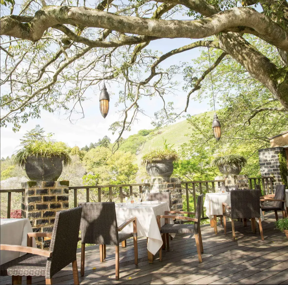 千年の森の中に佇むレストランはどんな天候の画像_3