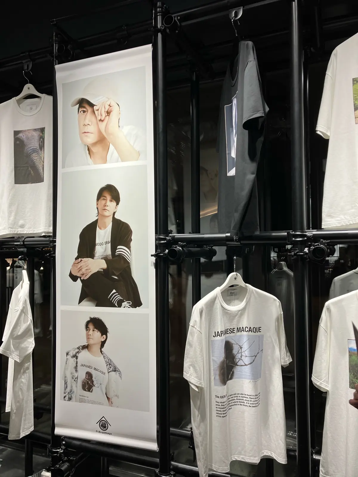 福山雅治　冬の大感謝祭　Kアリーナ  Kアリーナ横浜 みなとみらい　 LIVE A LIVE   Kアリーナ座席　アリーナバー7 福山ライブ　jマダム  ソロライブ