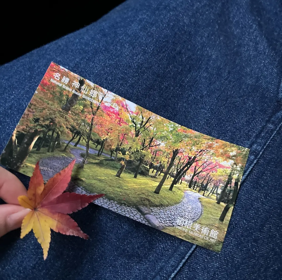 ドライブ女子旅♡雨の箱根美術館の画像_25