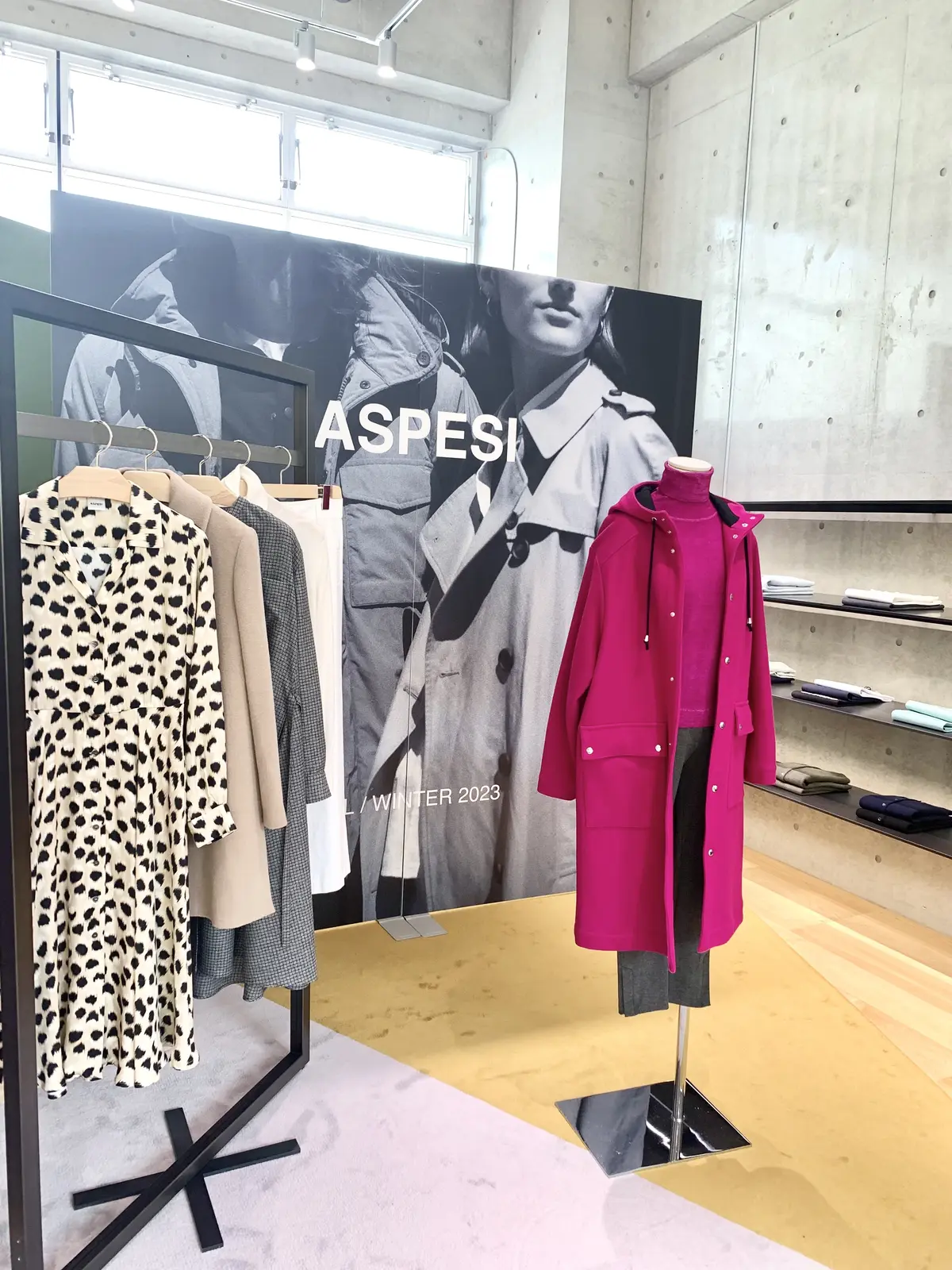 富岡佳子着用　エクラ　雑誌　アスペジ