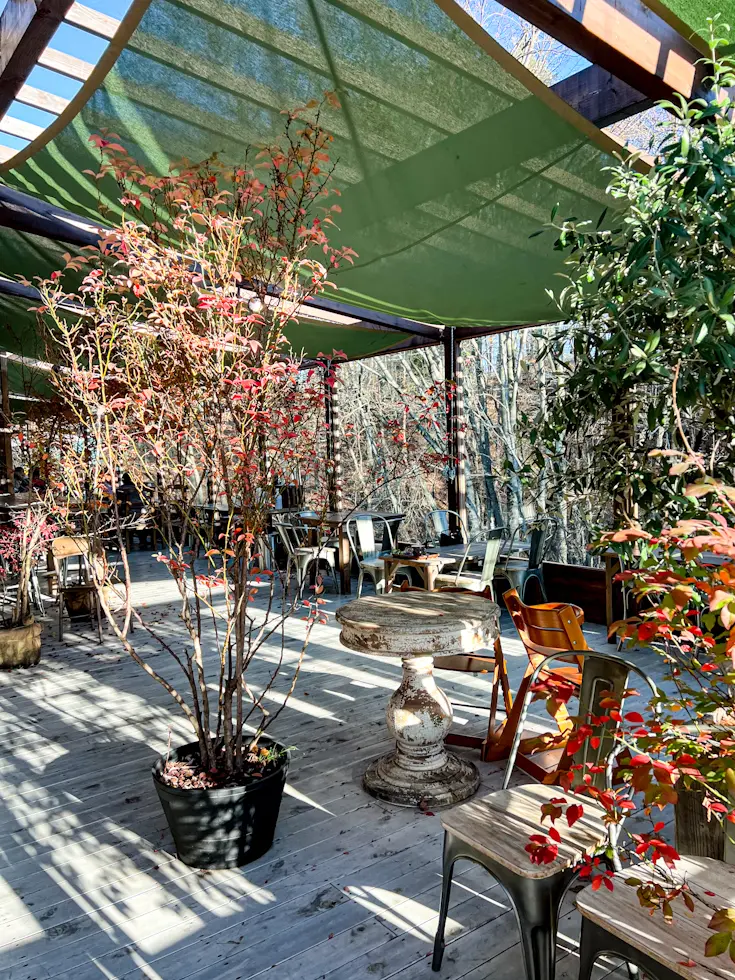 【さかぽんの冒険】ヴィーガンcafeへ☆の画像_5