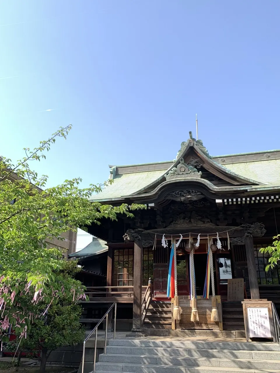 2年ぶりの東京、桜ツアー　１日目の画像_1