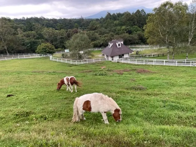 行ってみたかった清里テラスへ☆☆☆の画像_5