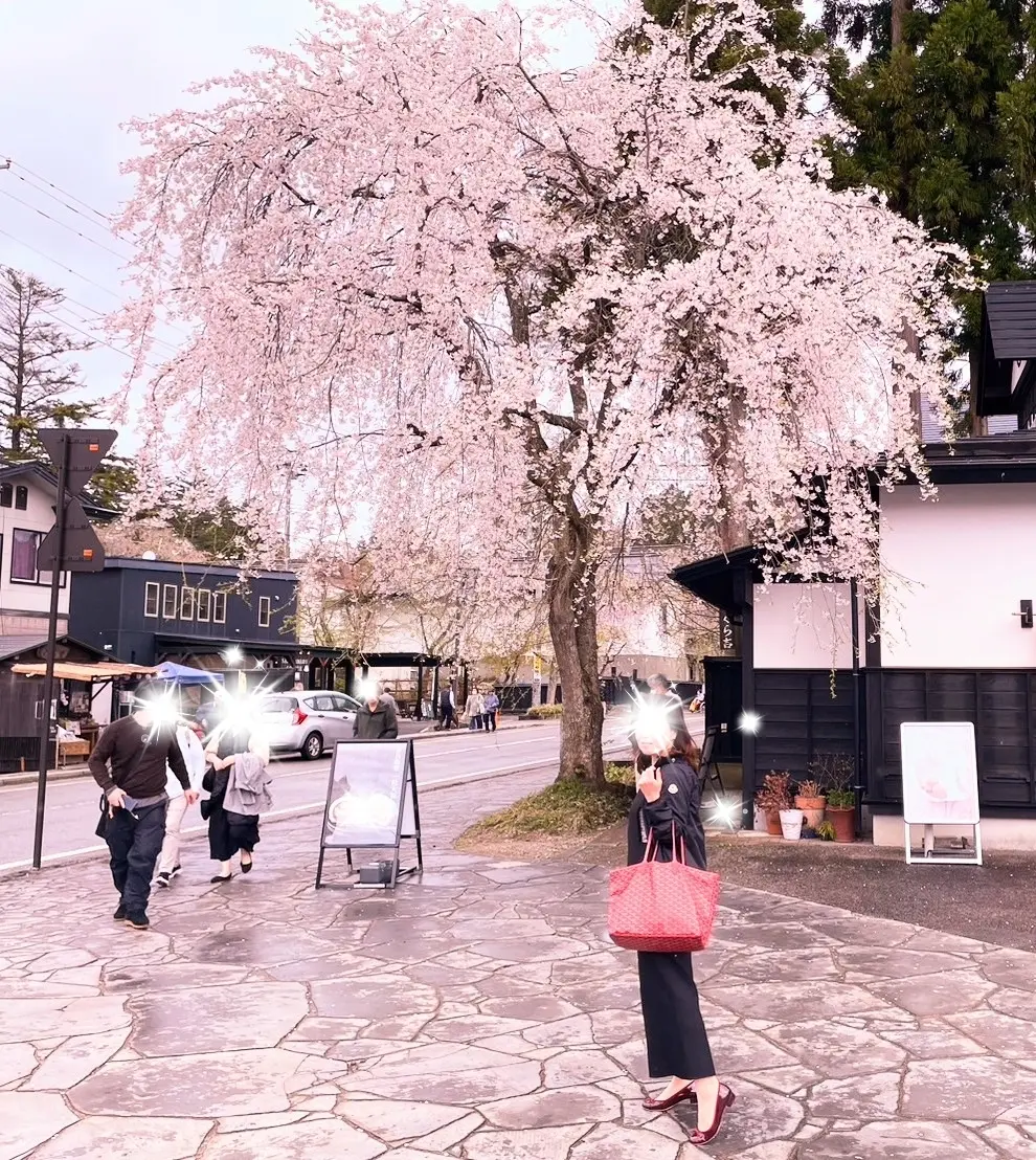 角館　武家屋敷通り