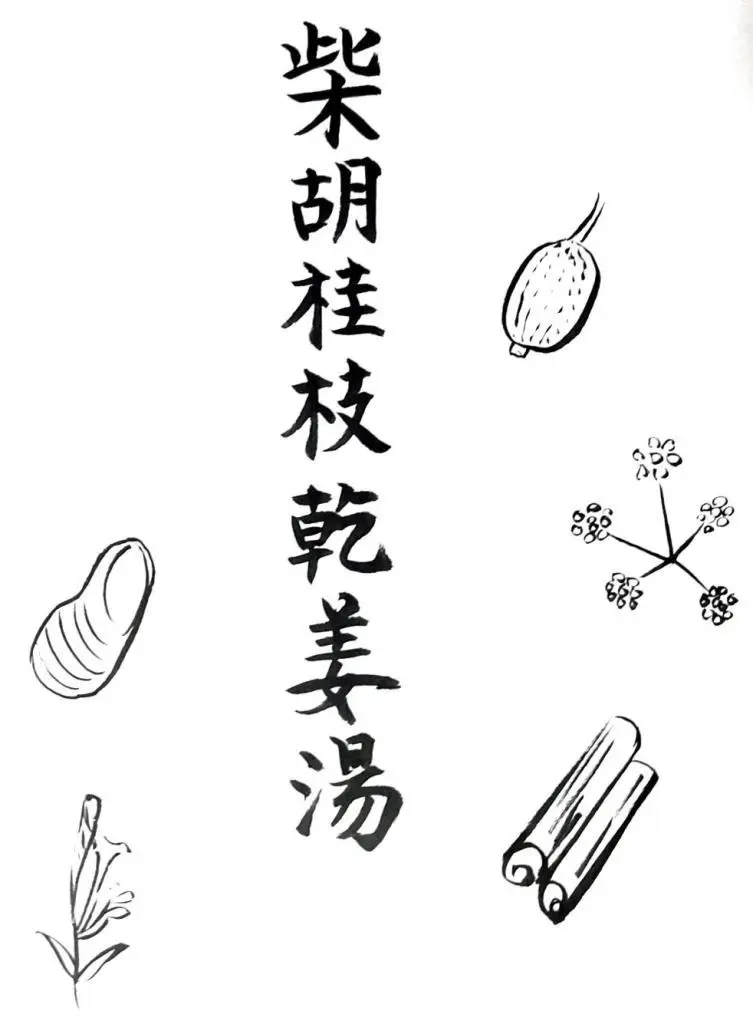 OurAge×Webエクラ　柴胡桂枝乾姜湯（さいこけいしかんきょうとう）　イラスト