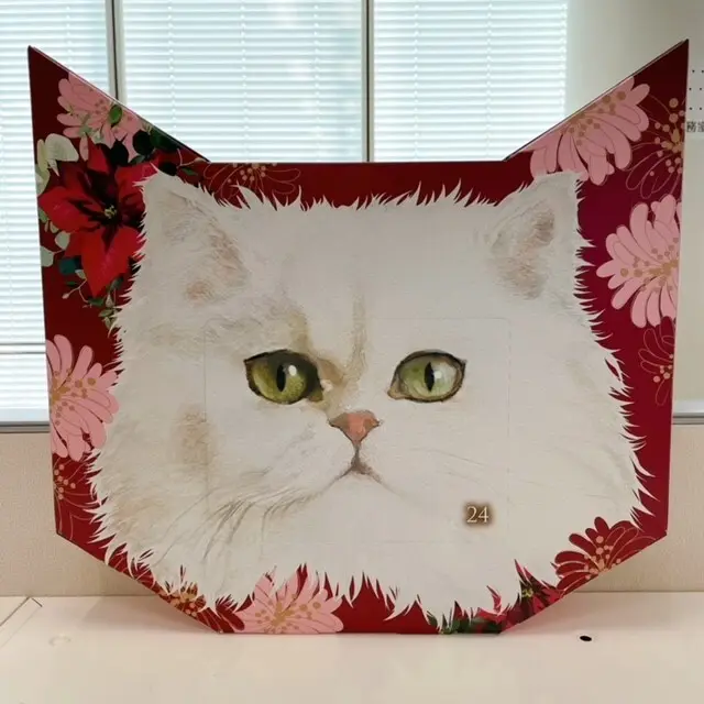 ポール ＆ ジョー ボーテの「メイクアップ　コレクション　2023」のパッケージ裏側