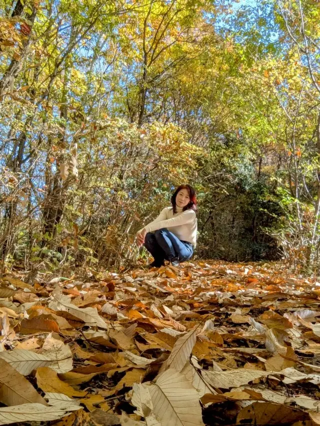 秋の恵みたっぷり！手作り酵素ドリンクの画像_18