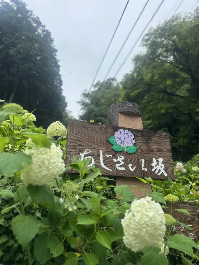 小江戸栃木市プチトリップの画像_1