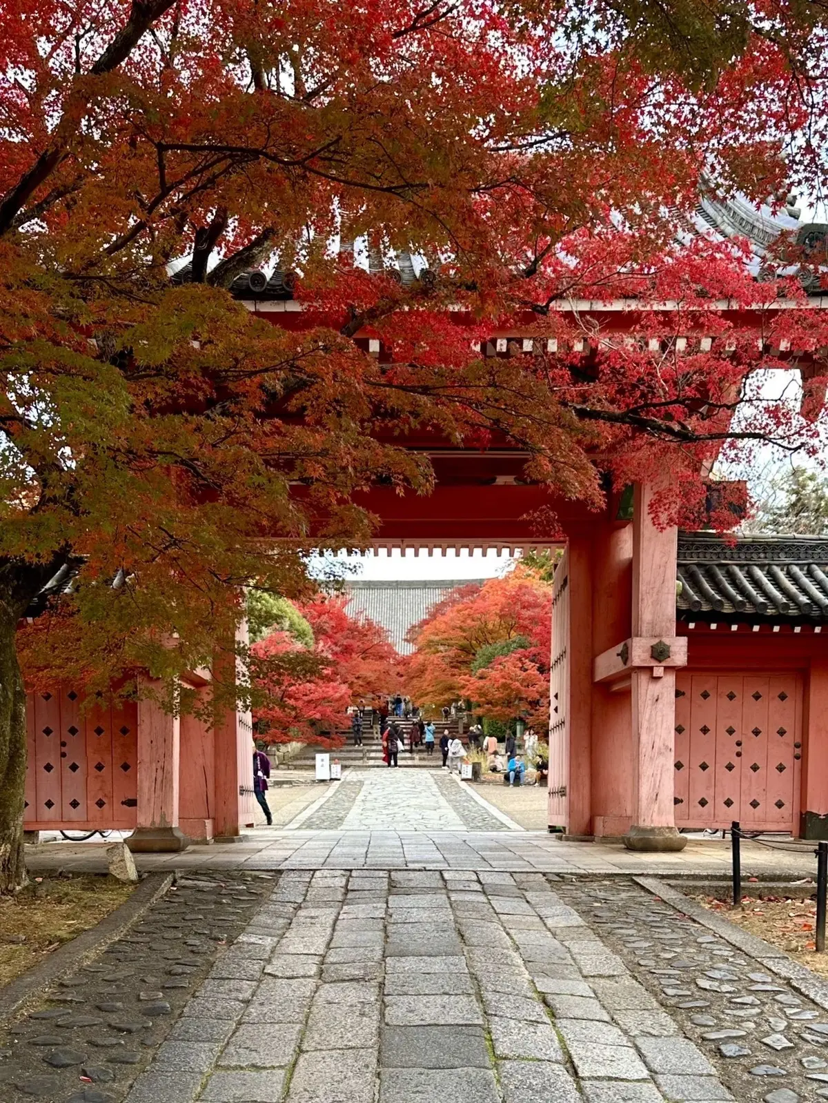 ずっと眺めていたくなる♡美しい京都紅葉2の画像_6