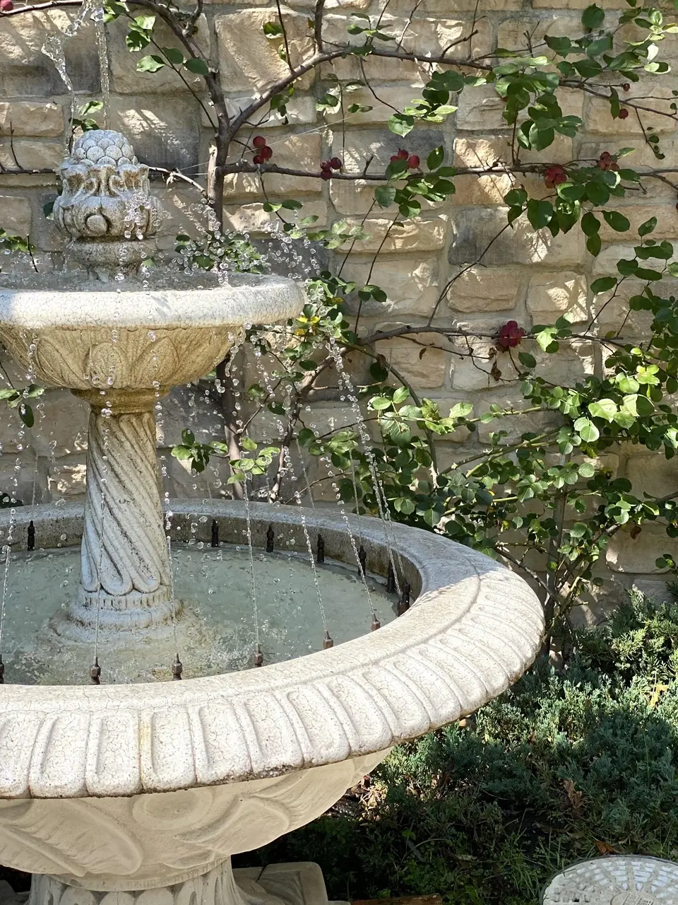 ソンブルイユ中庭②