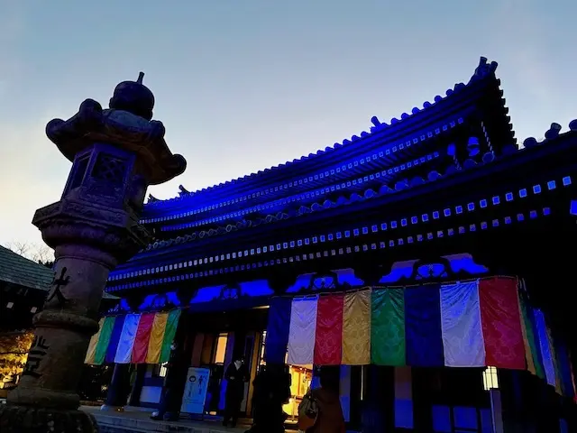 長谷寺　紅葉　紅葉ライトアップ　ライトアップ　観音堂