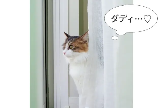 最愛の人はダディ。後ろをついて歩き、庭に行ってしまうと窓越しに熱視線を送っていた