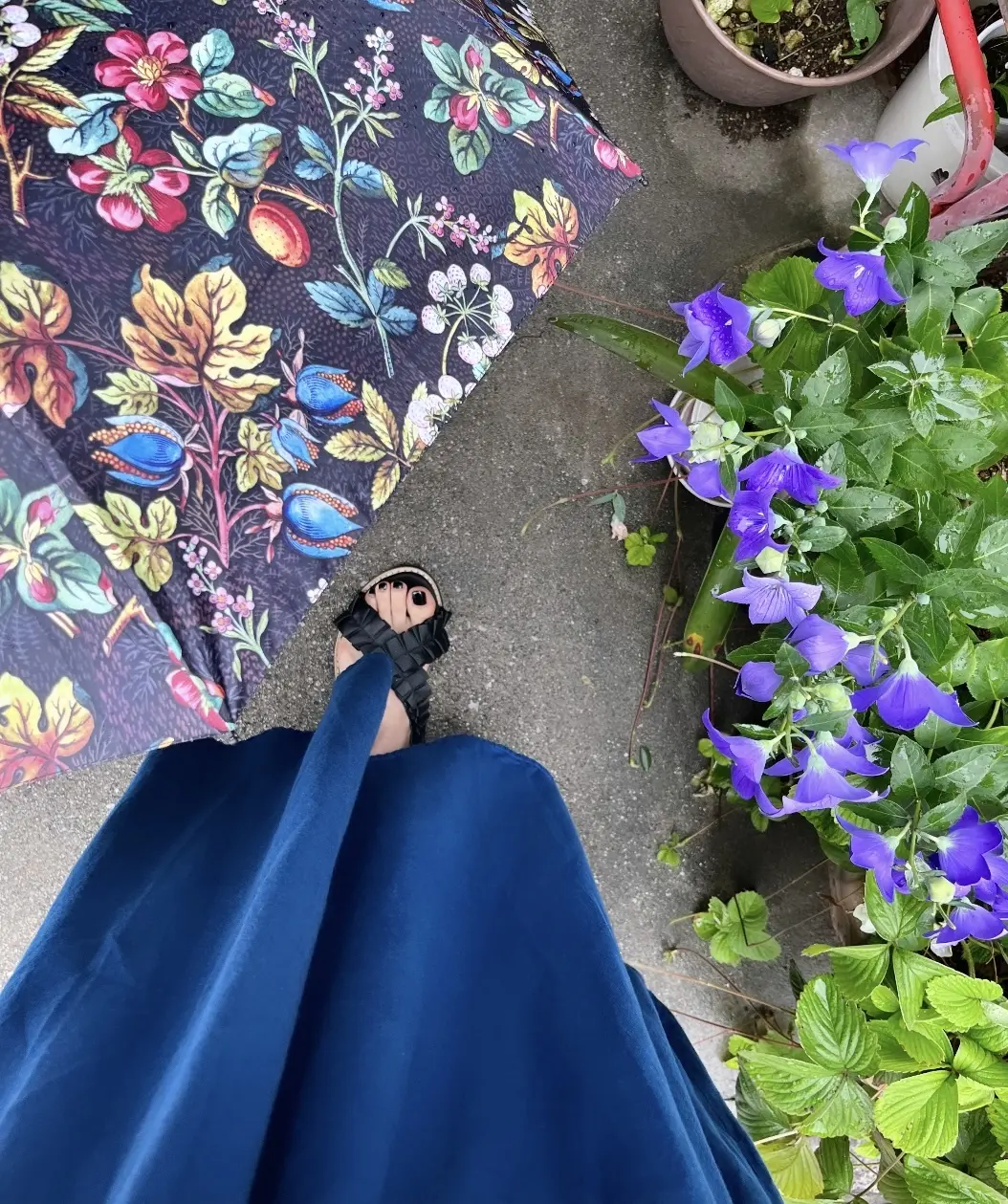 ボタニカル傘で『東京台湾』@中目黒の画像_10