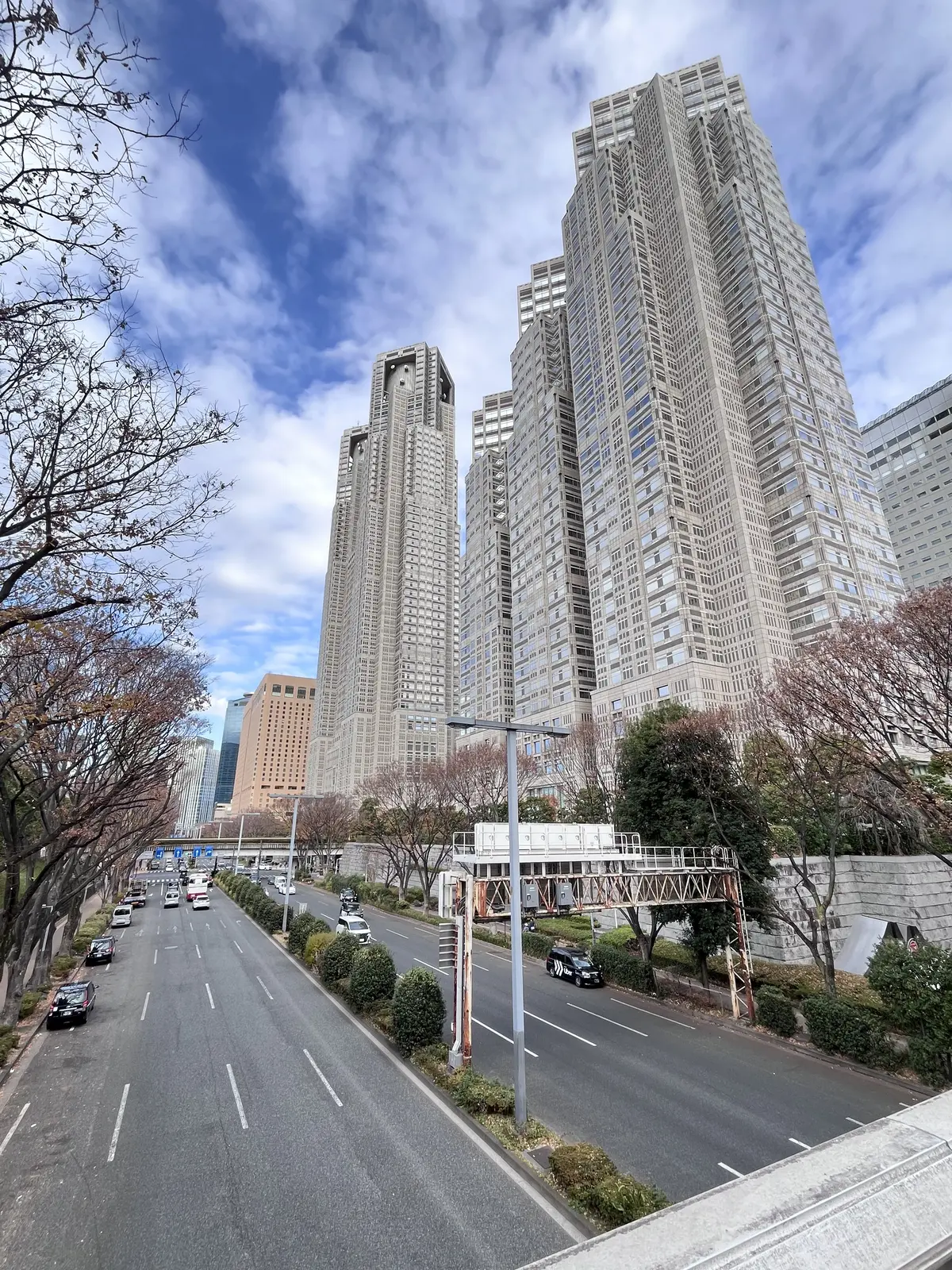 今年のお正月飾り。そして私のの〜んびりのの画像_1