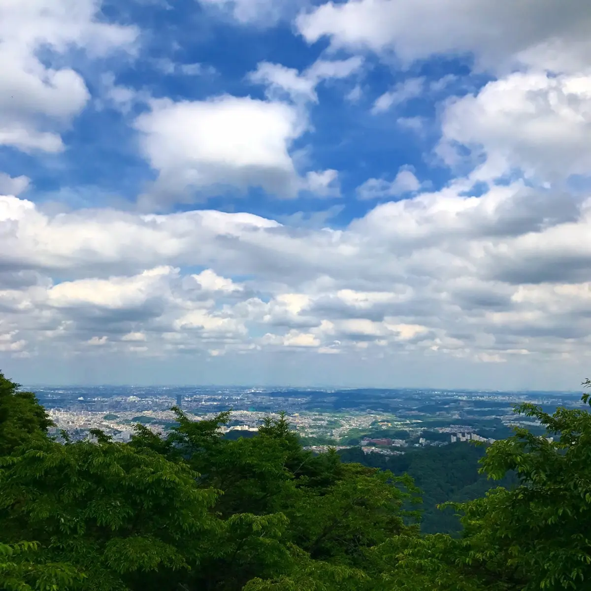 新たな趣味の画像_4