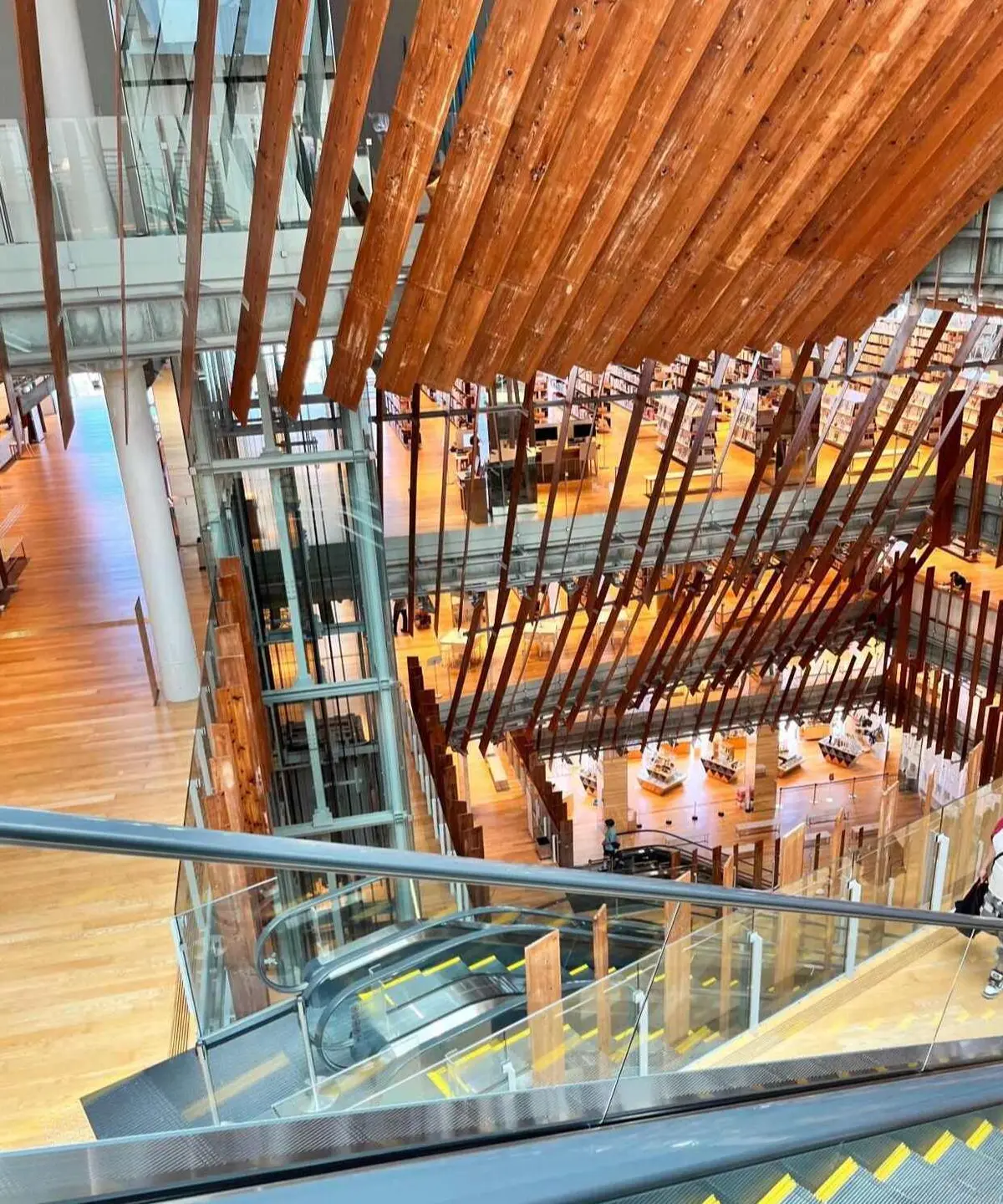 館内は2階から6階まで吹き抜け。自然光を最大限に生かしています。