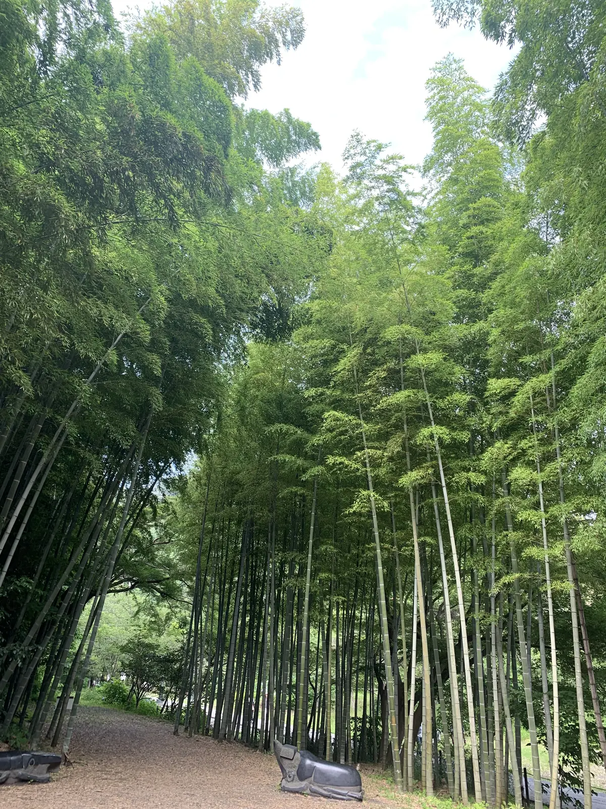 虫塚