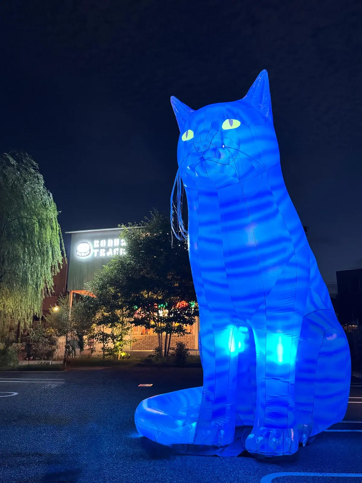 【幻想的な夜】街全体がアート空間に！「ムの画像_1