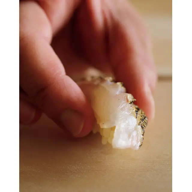 皮目を炙あぶった白甘鯛