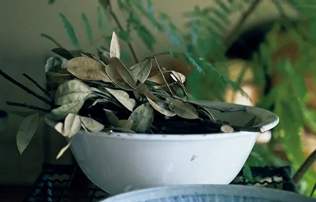 ものとして力のある器が好き。 新しい作家さんは直感で。