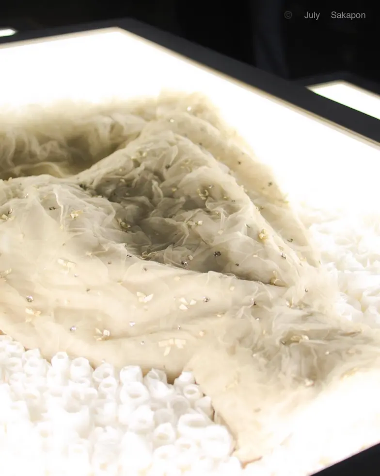 【BALENCIAGA】銀座に基盤店オーの画像_6