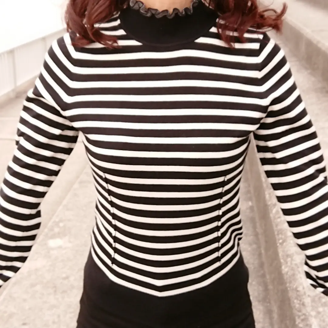 ボーダーニット