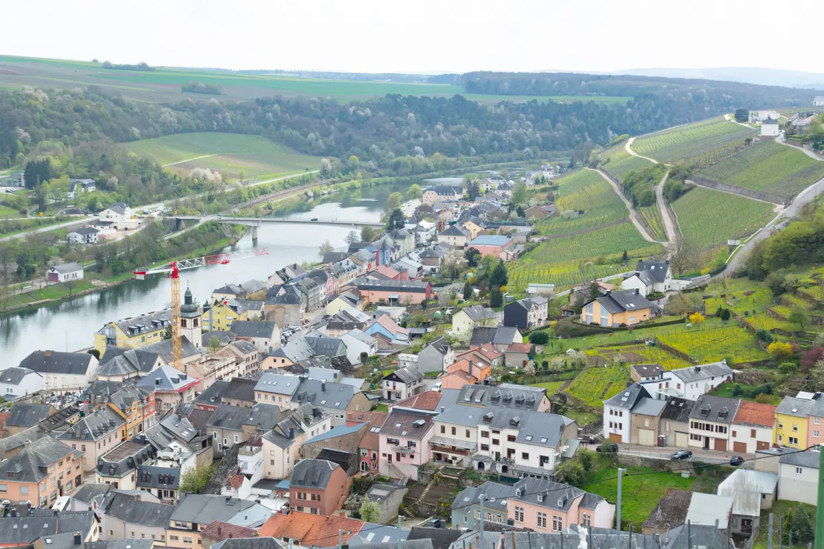 ほとんど国外不出!?の希少なルクセンブルの画像_1