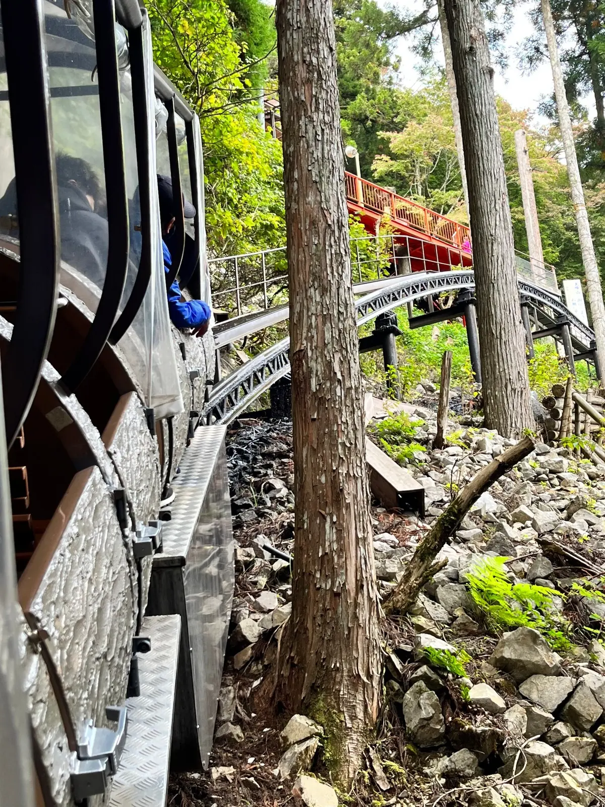 木々の間をぎりぎりを攻めてゆきます。高さと角度でめちゃスリリング!!