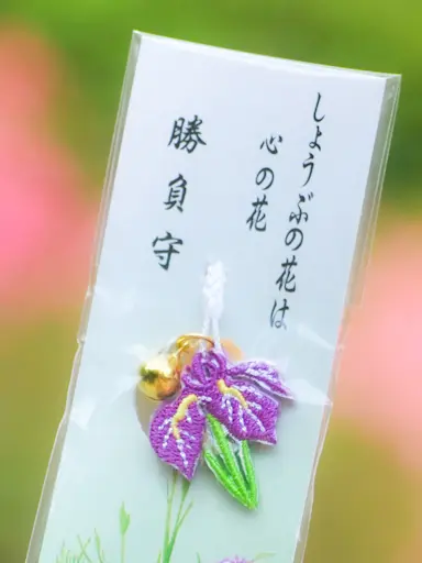 【鎌倉あじさい】明月院 &あじさいアフタの画像_7