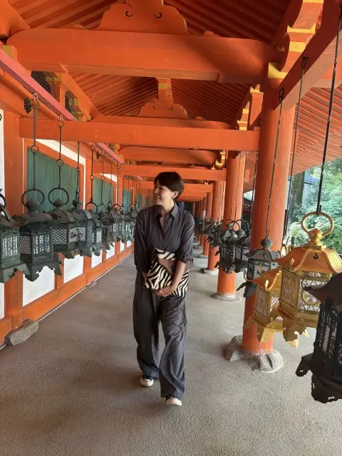 朝の光に包まれて 〜春日大社の特別拝観への画像_6