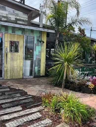 雨の中の桜の画像_1