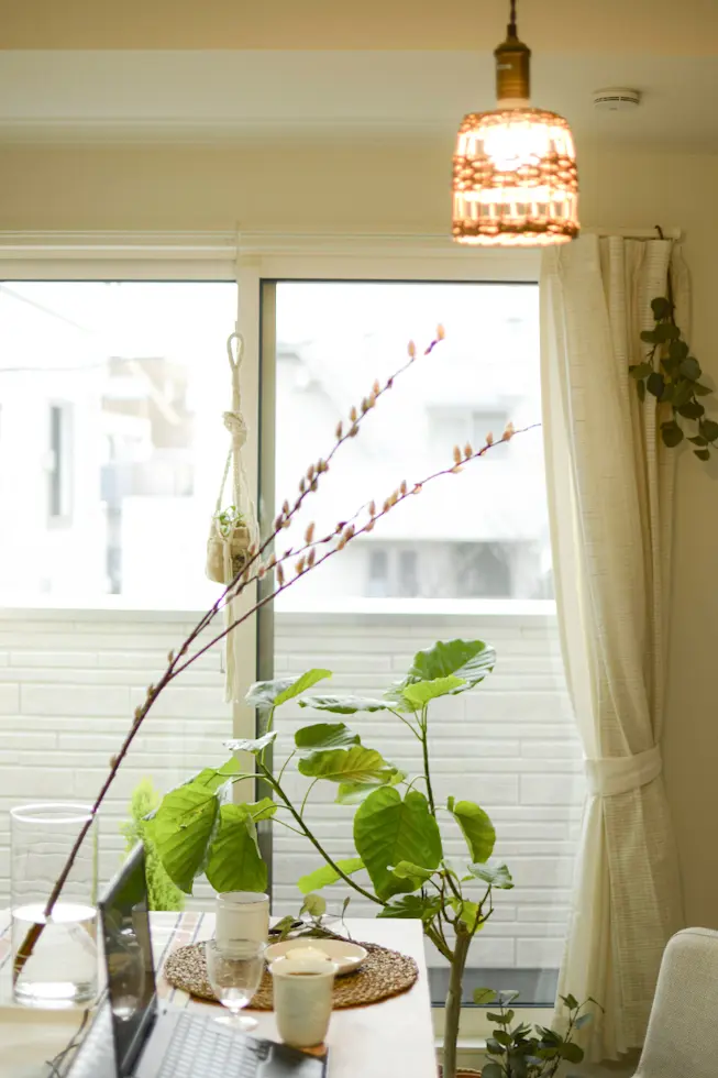 【冬の華】ねこやなぎ&白梅と梅ジローの画像_4