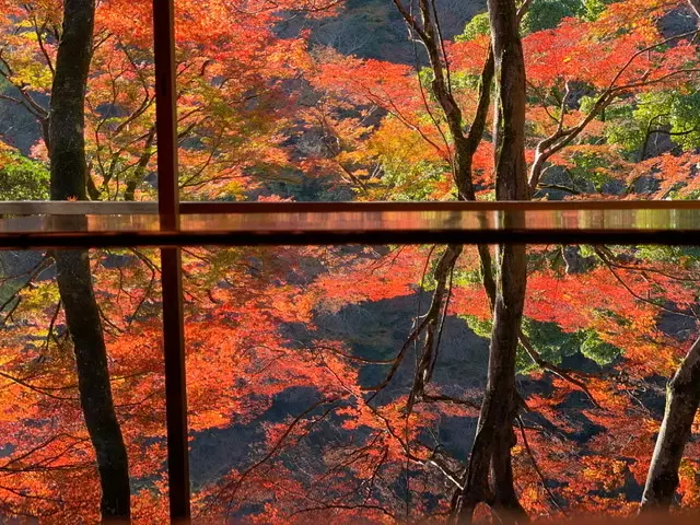 絶対一度は行ってみて欲しい！紅葉の嵐山 の画像_5