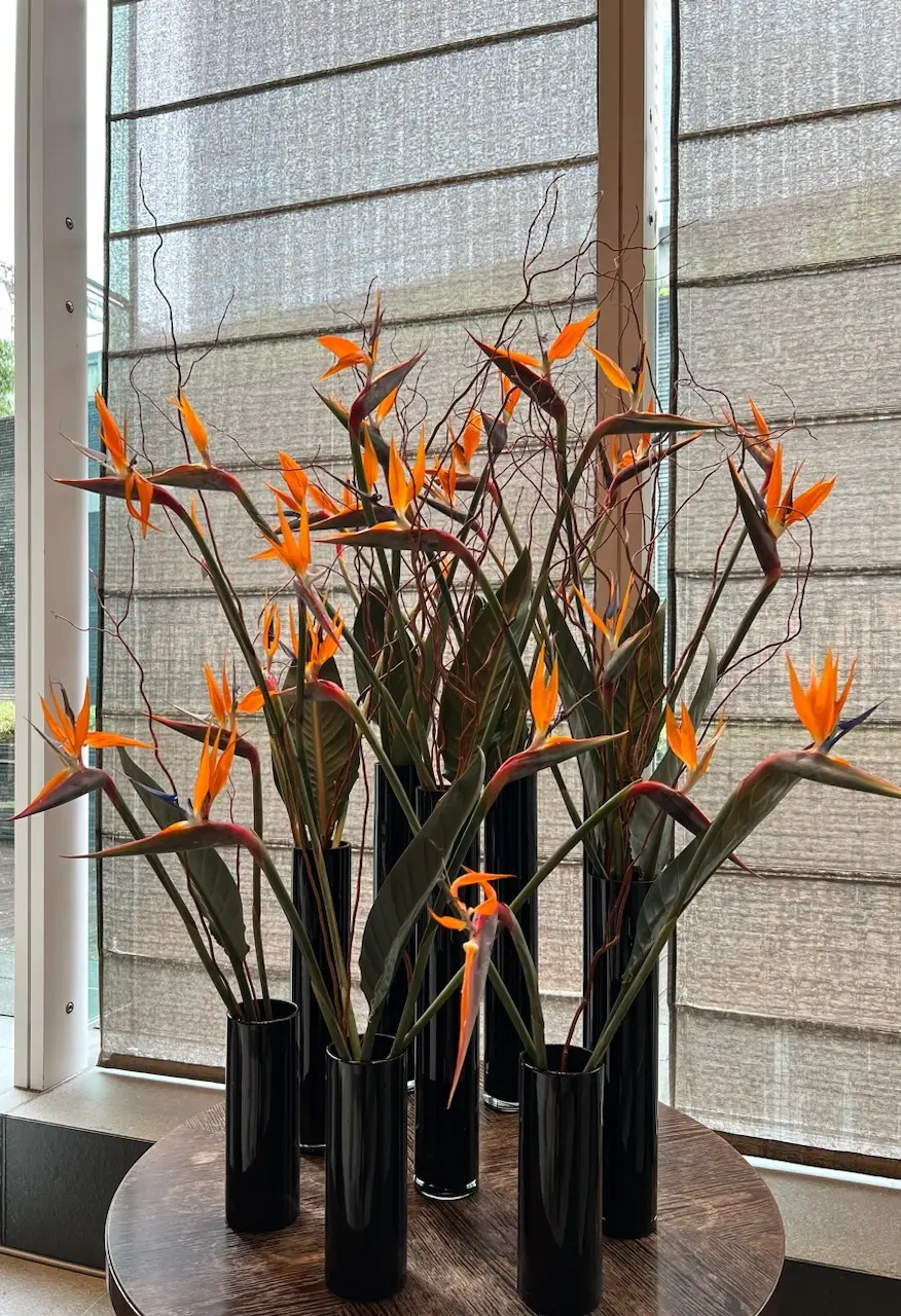 UNIQLOセットアップ@フォーシーズンの画像_14