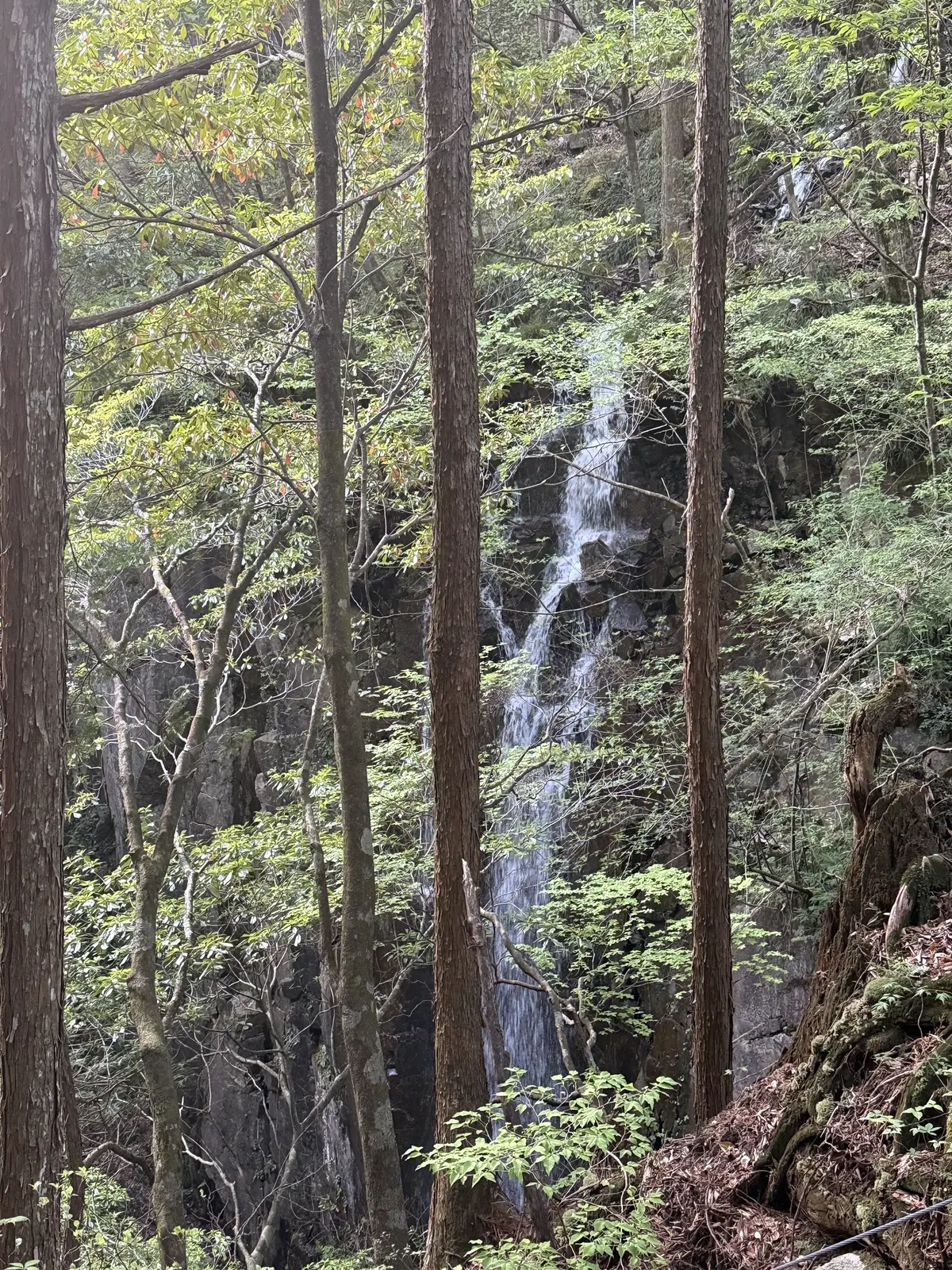 【岐阜】GU大人カジュアルコーデで岐阜・の画像_9