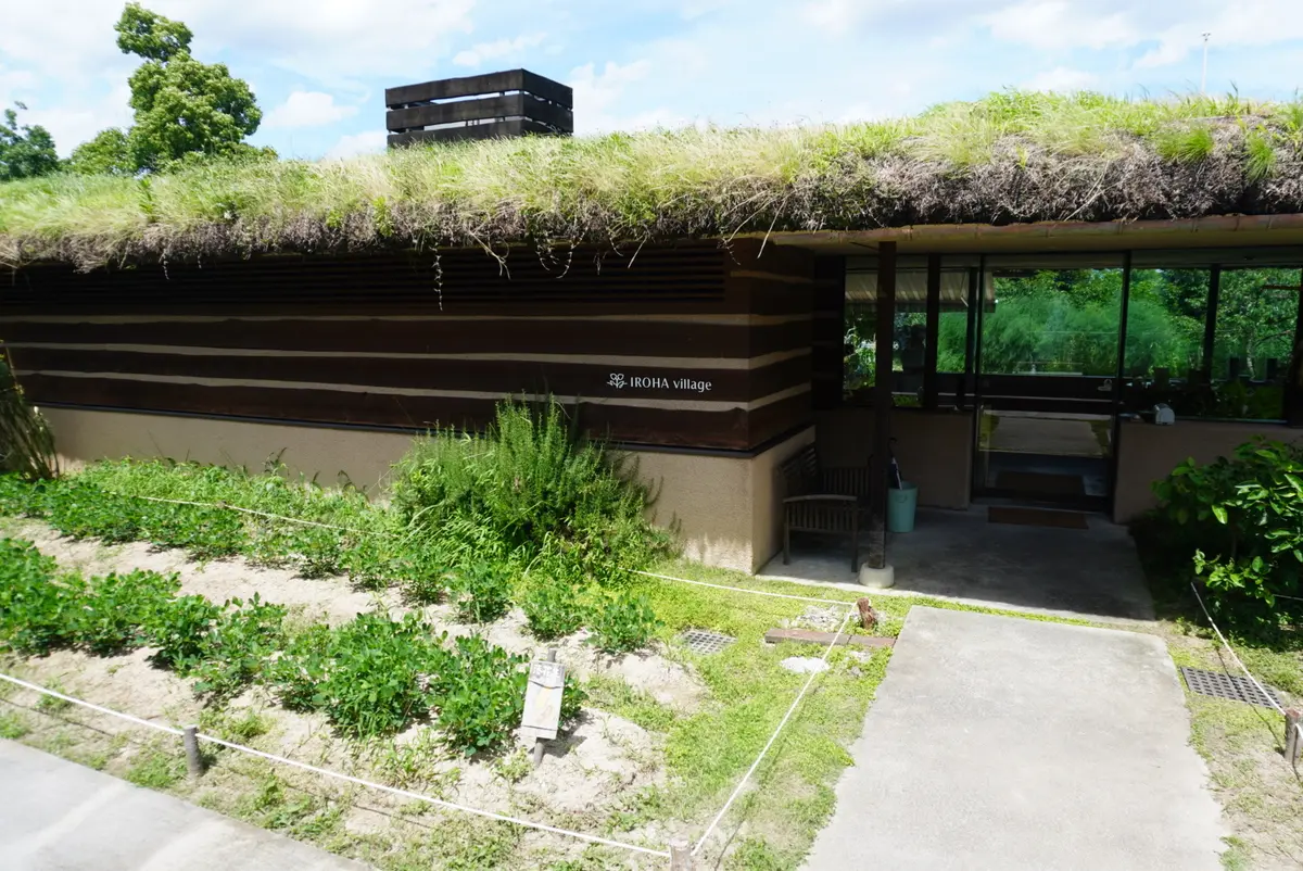 心身共に優しい癒しのスポットで爽やか夏デの画像_17