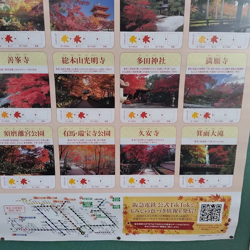 関西　阪急沿線の紅葉