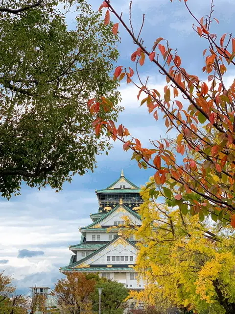 お天気の良い日曜日は、デニムでカジュアルの画像_1