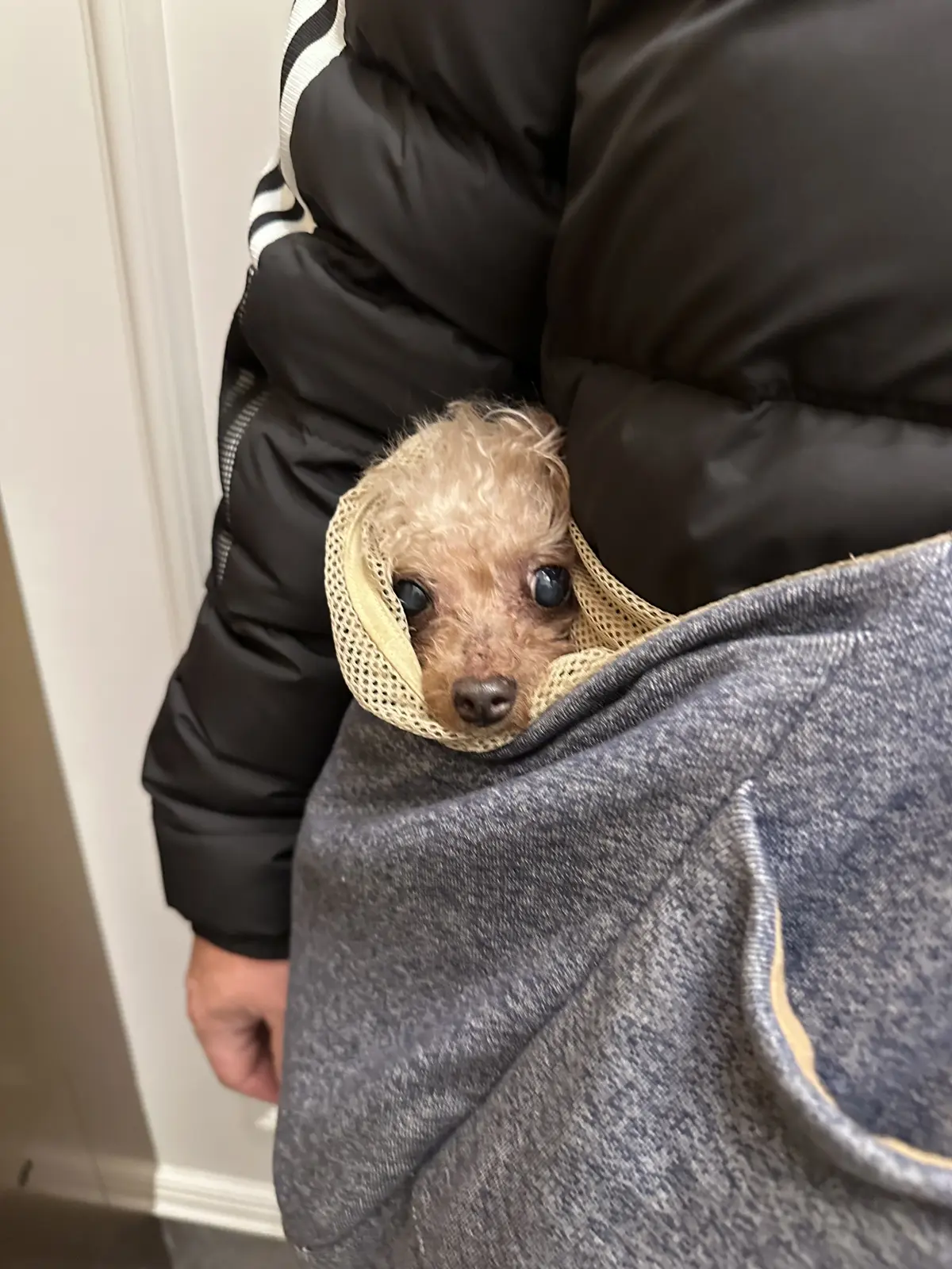 家族で行くサンクチュアリ琵琶湖の画像_9