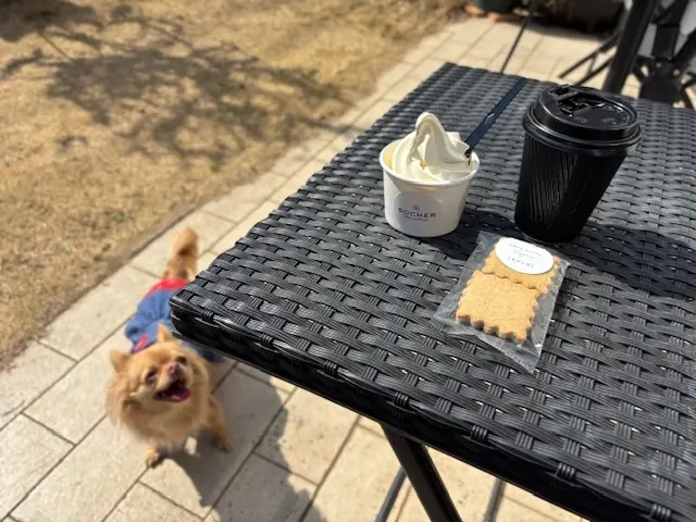 素敵なカフェ＆竹林に囲まれたひよどり坂への画像_5