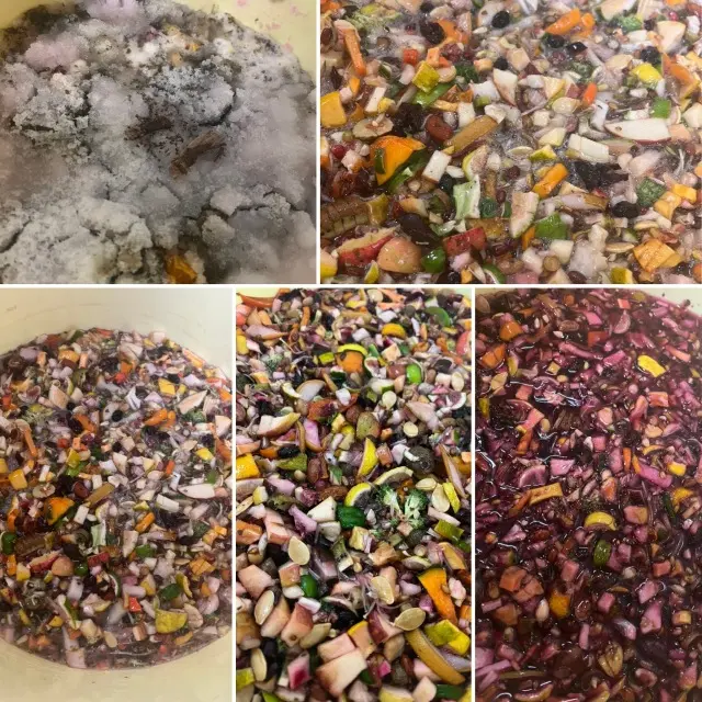 秋の恵みたっぷり！手作り酵素ドリンクの画像_9