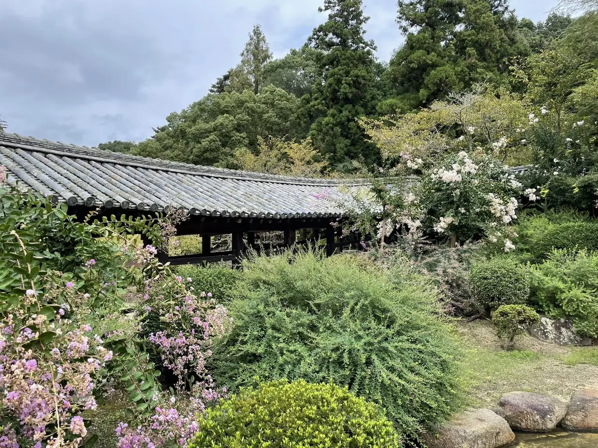 大草直子さんコラボの揺れるワンピースでパの画像_5