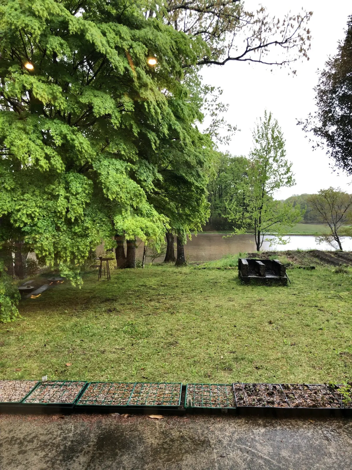 日帰り栃木県の旅【那須編】の画像_1