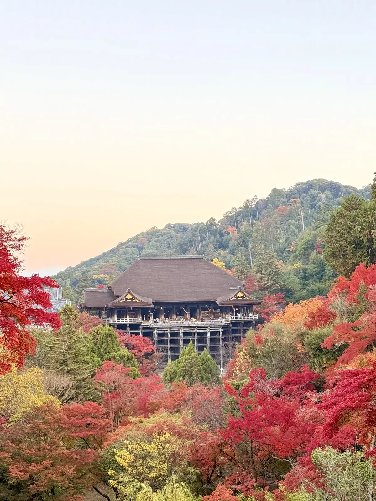 【大人の京都】寺院仏閣とお気に入りの秋のの画像_1