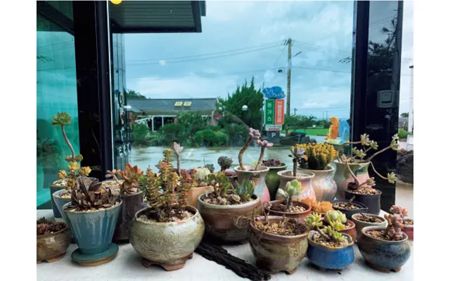 陶磁器でも有名な島。