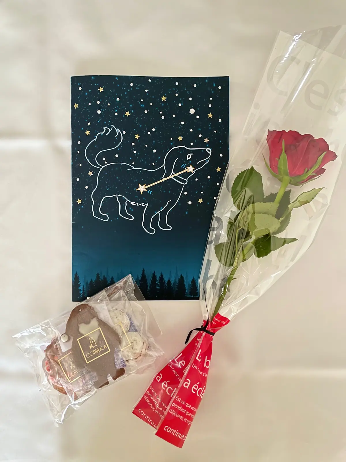 赤。薔薇。バラ。赤いバラ。一輪。クッキー。サンタクッキー。チョコクッキー。マドレーヌ。苺チップ。ミニパイ。スイーツ。お菓子。お土産。手土産。差し入れ。プレゼント。楽譜。ハンドメイド。手作り。飾り。犬座。キラキラ。シール。星。星座。