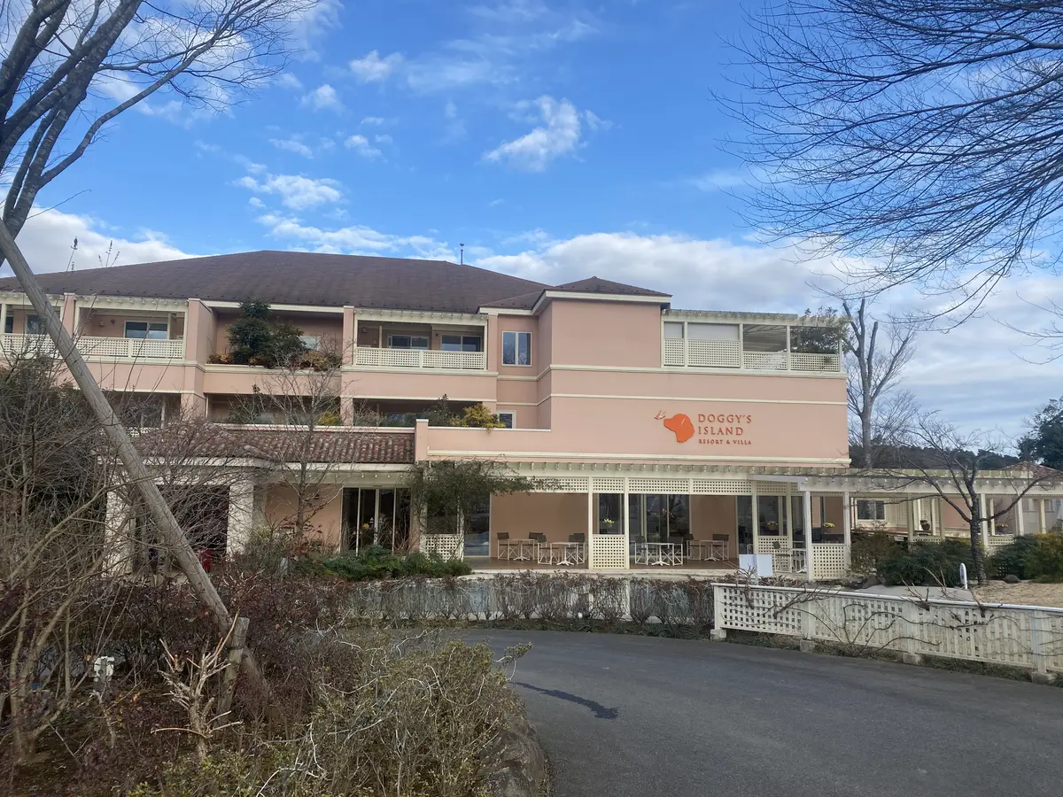 ドギーズアイランド