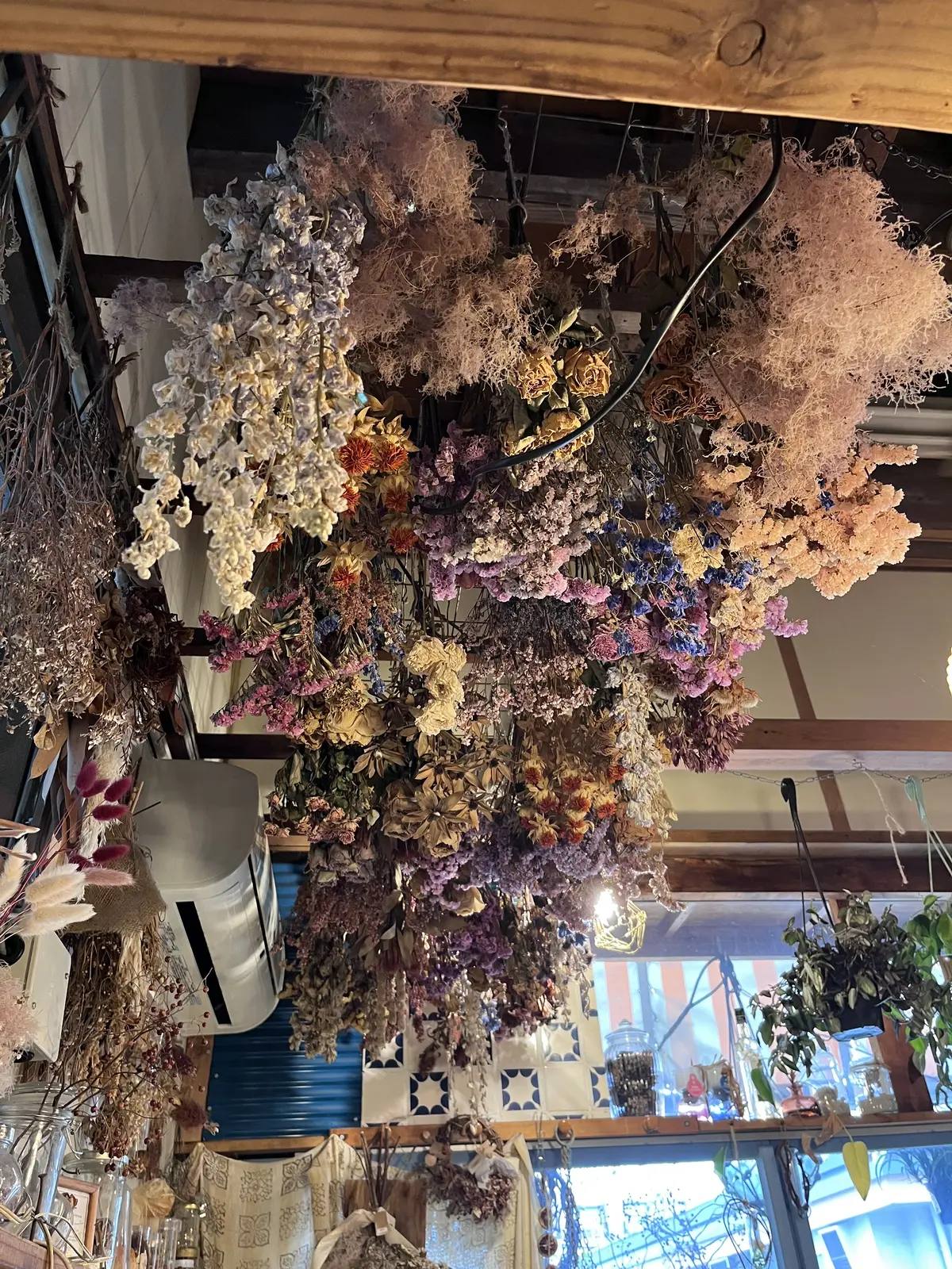 今年は早めのクリスマスリース作りの画像_4